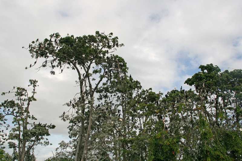 Mexico & Guatemala 2010 - 0926